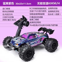 전문가용 성인용 4WD 4륜구동 오프로드 레이싱카 RC카, 배터리 4개, 랩터 퍼플