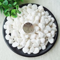 화분자갈 컬러스톤 건재상 자갈 검은 크기 높은 깊은 광택 천연석 자갈 따뜻한 액세서리 원예용 조경용돌 자갈돌, 0.8-1.2 cm 백설 공주 5