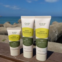 민감 여드름성 피부 잡티 붉은기 진정 사계절 자외선 차단 그린프로폴리스 선크림 40mlx2+20ml, 올 커버리