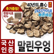 자애인 국산 말린 우엉 1kg 볶지 않은 우엉의 맛 경북영천, 단품