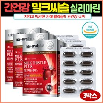 밀크씨슬추출물 실리마린 간건강도움 피로회복 3박스