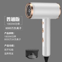 속건 스팀청소기 유품 두발 보호 헤어롤 샤오미드라이기, T04-진주 백(1800W)8000 만패 이온