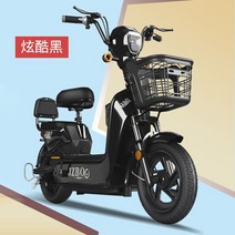 전기 자전거 Yadi Emma Xinri Luyuan 동일한 남성과 여성 성인 배터리, 48v, 12아, 1-CNPC ChaoweiTianneng 20a 배터