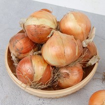 22년 햇양파 단단하고 저장성이 좋은 양파 5kg, 특