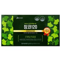 jw중외) 징코120 600mg x 120정 은행잎 추출물, 1팩