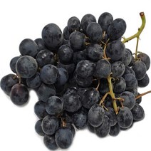 FUNET 씨없는 청포도 거봉 1kg, 1박스, 51_국산 캠벨 포도 1kg