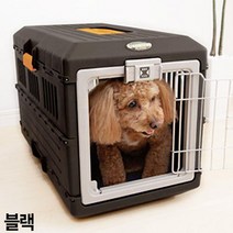 웰시코기 중형견 켄넬 카캐리어 기차용 하드캐리어