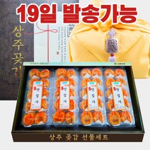 상주 곶감 반건시 건시 명절 선물 세트 + 황금보자기, 반건시 가정용