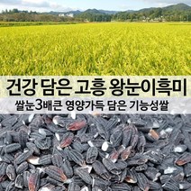 [진도장모와서울큰사위] 22년 햅곡 출시 흑찰미 쌀눈3배큰 왕눈이흑미 눈큰흑찰 쌀 1kg, 1개, 5kg