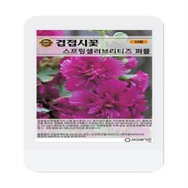 겹접시꽃 스프링셀러브리티즈 퍼플 씨앗 10립 겹접시꽃 꽃씨 씨앗 대장