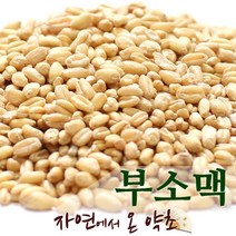 부소맥 한국산 300g