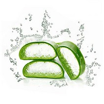 마타바 기능성첨가물_액상&분말, 기능성(액상)-06.알로에베라겔500ml