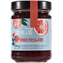 꽃샘 피어나다 히비스커스&자몽 액상차 350g, 3개