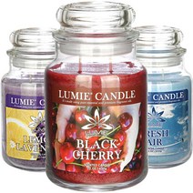 국산 르미에 630g 라지자캔들 42종 향초 실내방향제 캔들, 42-시트로넬라, 01-기본형 라지자캔들