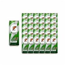 게토레이 레몬, 240ml, 10개