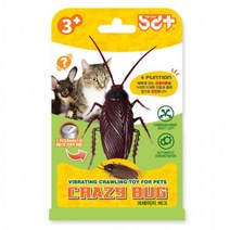 g03 반디 크레이지버그 로취(22382), 상세페이지 참조, 상세페이지 참조