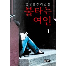 불타는 여인 1:김성종 추리소설, 남도출판사, 김성종