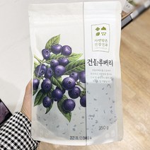 건블루베리 350g x 1개, 단품, 단품