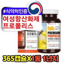 여성 항산화영양제 프로폴리스 365캡슐 대용량 12개월 플라보노이드 17mg 미국 해외 직구 코스트코 고함량 아연 40대 50대 60대 여자 면역력높이는 폴리폴리스