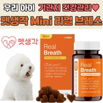 펫생각 강아지 기관지 협착증 영양제 애견 호흡기 기침 영양제, 2박스 (62정)