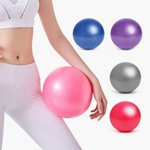 엑서사이즈 미니 요가 짐볼 25CM, 퍼플