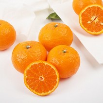 [미담] 귤로향(벌크박스), 1box, 1kg 대과 4-5과 내외 2개구매 500g증정