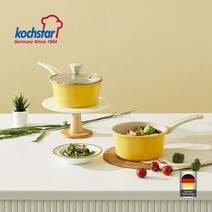 퀸센스 비즘 오리엔탈 IH 인덕션 주물 냄비 편수18cm