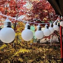 [투썬빌리지] 응팔감성 빅볼 전구 LED 가렌드 조명 3M 20등