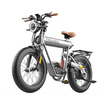 COSWHEEL 코스휠 T20R 20인치 750W 전기자전거 팻바이크, 20ah