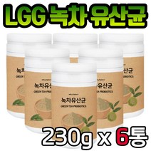 녹차 추출물 유산균 230gx6통 파우더 분말 바이오틱스 락토바실러스 플란타룸 비피도 신 프리 프로 포스트 노인 할아버지 할머니 여성 남성 60대 70대 80대 장 건강 선물