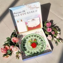 용돈피자박스 용돈박스 머니피자 반전 용돈상자 돈다발 카네이션 부모님 생신 어버이날선물, 02_인생을피자