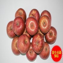 [프레시푸드마켓] 장수사과 1박스 가정용사과 중과 특등급 5KG