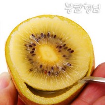전라도 골드키위 5kg (75과 내외) 참다래 키위, 단품