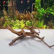 소형가지유목 가지유목 모듬가지유목 3개1세트