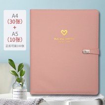 임신검사 데이터 앨범 임산부 임신기간 b초과 보고 화학 파일, T02-핑크스몰 하트 30A410A5(앞뒤양면