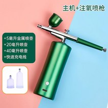 충전식 에어 브러시 두피 페이스 나노 스프레이 염색 미용실, 그린