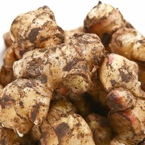 국내산 토종품종 햇 흙 생강 특품 2kg, 1개, 2kg(1개)