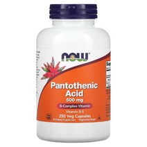 나우푸드 판토텐산 칼슘 500mg 베지 캡슐 100정 수용성 비타민 B, 250개