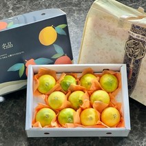 제주 명품 가정용 선물용 황금향, 1개, 3kg(선물세트)