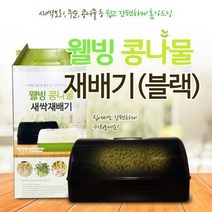 집에서 콩나물키우기 키트 콩나물재배기 식물키우기 가정용스마트팜