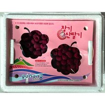 포항 산딸기 GAP 냉동 4kg 급냉 산딸기생과 산딸기파는곳, 단품