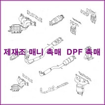 촉매 베라크루즈 중