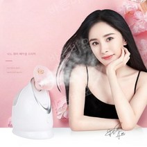 헤어스팀기 모발 관리 가정용 미용실 수분 스파 기계, KD2331A