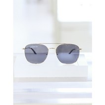 휠라(선글라스) [휠라 선글라스]FLS7422 SHINYGOLD/P 58