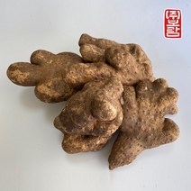 보람농장 산마 못난이알뜰 2kg
