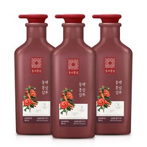 동의홍삼 동백홍삼 샴푸, 3개, 500ml