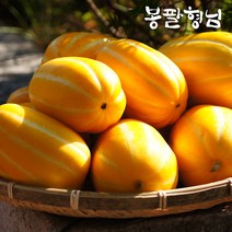 성주 꿀 참외 한입 (24-30과) 5kg 가정용, 단품