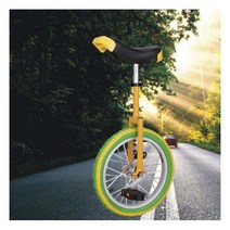 엠제이 BCC024 외발자전거 16/18/20 인치 초보용 입문용 초등 주니어 피트니스, 16, 레드