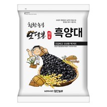 힘찬농부오달봉 수입산 검정강낭콩 흑양대 흑동부 캐나다산, 1개, 10kg(5kg+5kg)