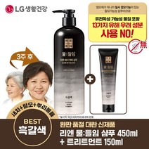 [흑갈색] LG 리엔 물들임 새치커버 샴푸 450ml 1개 새치커버 트리트먼트 150ml 1개, 단품